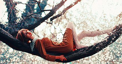 【问题解决方案】完整教程的ddos网页端源码